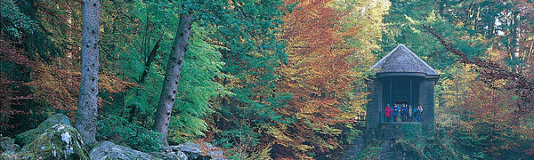 Elston Landscapes Banner