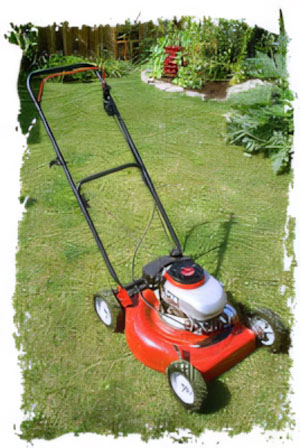 Lawn Scarifying and Moss Removal Services