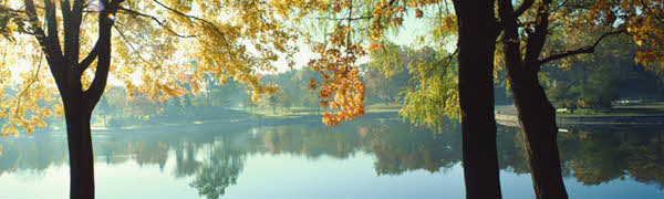 Elston Landscapes Banner