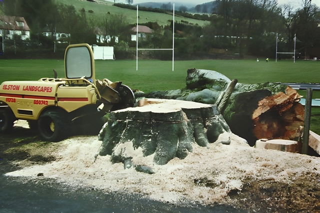 Playing field stump - large