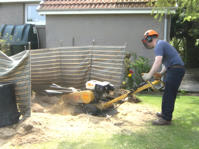 Rear garden -stump grinder at work