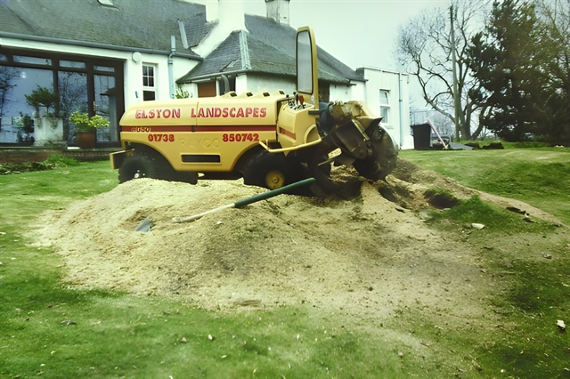 Reduced to sawdust successfully