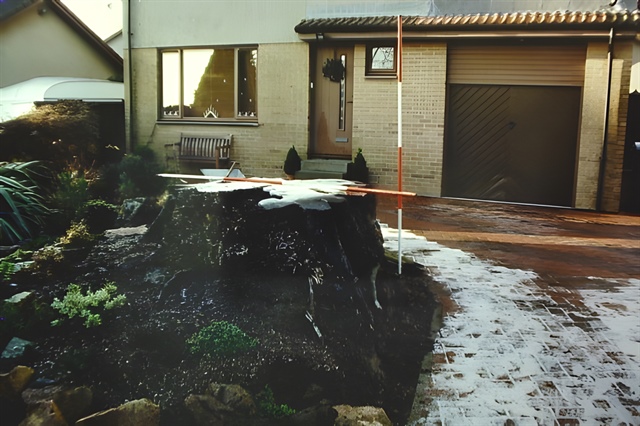 Large stump in domestic front garden 