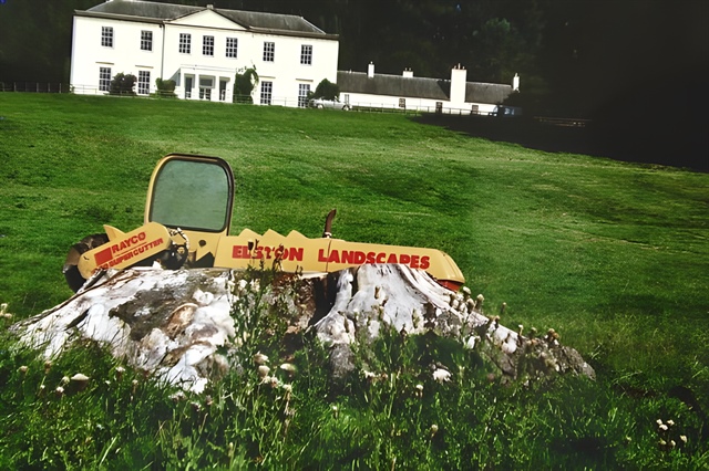 Large stump in country house grounds