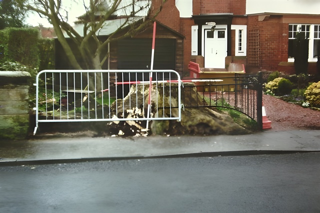 Driveway stump to be cleared