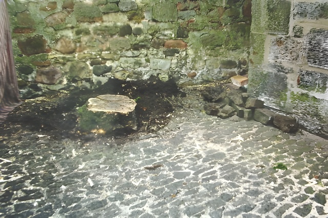 Stump against stone wall