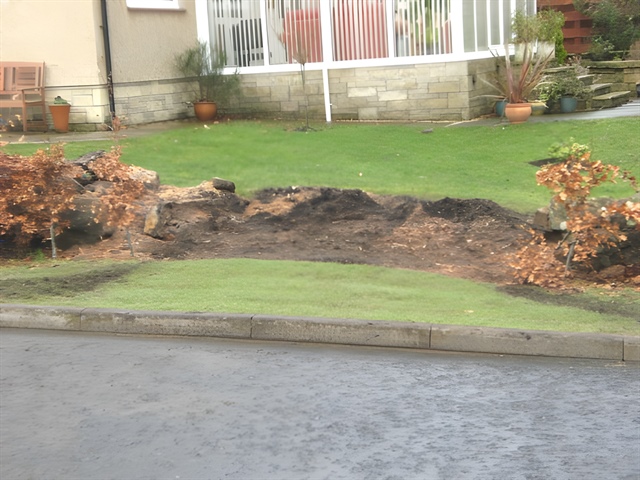 Beech stump cleared -facing onto garden